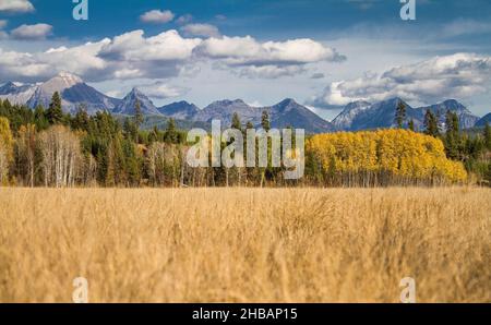 Big Prairie dans le parc national des Glaciers, Montana, États-Unis d'Amérique.Une version unique et optimisée d'une image NPS, crédit : NPS/D.Restivo Banque D'Images