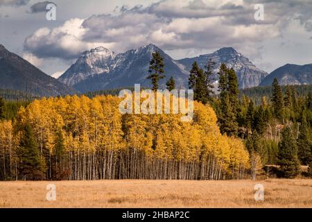 Big Prairie dans le parc national des Glaciers.Montana, États-Unis d'Amérique.Une version unique et optimisée d'une image NPS, crédit : NPS/D.Restivo Banque D'Images