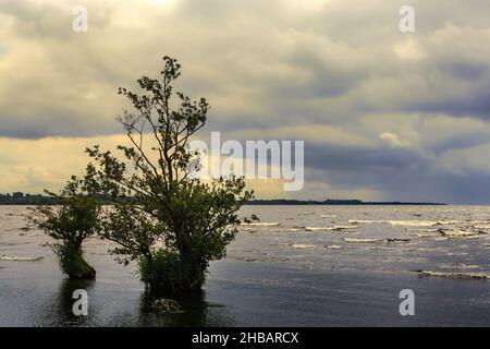 Vue sur le Lough Neagh en Irlande du Nord Banque D'Images