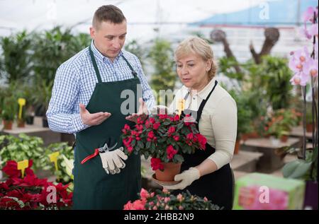 Deux jardiniers avec sécateur s'occupent des fleurs sur leur lieu de travail Banque D'Images