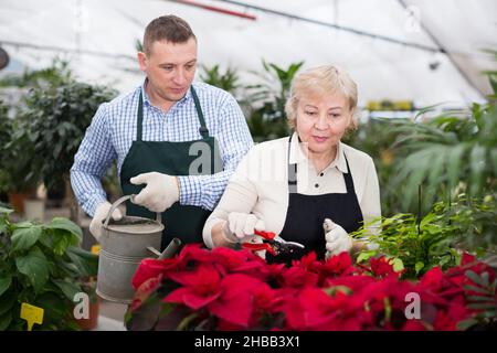 Deux jardiniers avec sécateur et arrosoir peuvent prendre soin des fleurs sur leur lieu de travail Banque D'Images