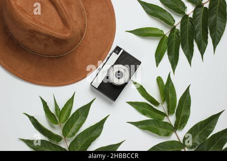 Voyage d'automne.Chapeau en feutre pour femme, appareil photo rétro sur fond blanc avec feuilles vertes.Vue de dessus Banque D'Images