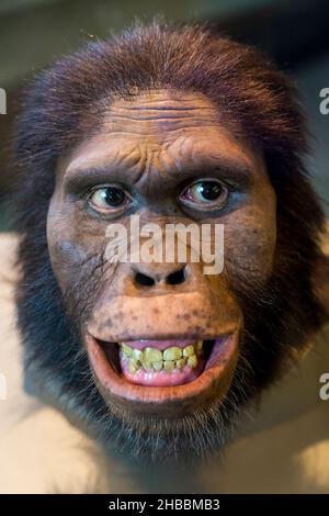 Le visage d'un Caveman Banque D'Images