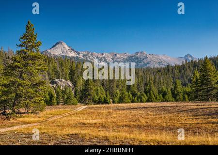 Sentier Big Sandy Lake, chaîne de Wind River, forêt nationale de Bridger Teton, Wyoming, États-Unis Banque D'Images