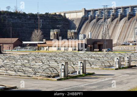 Station piscicole Shepherd of the Hills, pistes de course, Raising Brown & Rainbow Trout, conservation Center, avec barrage hydroélectrique de Table Rock. Banque D'Images