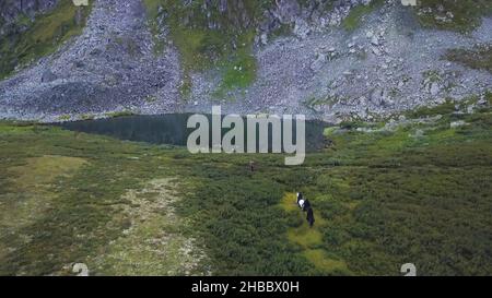 Vue aérienne des personnes à cheval sur le champ de montagne.Équitation dans les montagnes , natation dans le lac.Les chevaux marchent sur une herbe verte.Aeria Banque D'Images