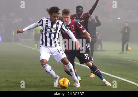 Bologne, Italie.18th décembre 2021.Bologne contre.Juventus au stade Renato Dall'Ara - Bologna, Italie, 18 décembre 2021 - photo: stringer Credit: Independent photo Agency/Alay Live News Banque D'Images