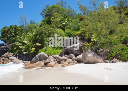 Célèbre plage d'Anse Georgette sur l'île de Praslin, Seychelles Banque D'Images