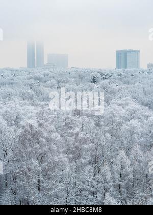 vue sur la forêt enneigée et les maisons en hauteur dans les nuages bas à l'horizon en hiver froid soir Banque D'Images