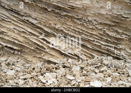 Grainstone, ou rochers et pierres de kurkar, typique des rives méditerranéennes. Banque D'Images