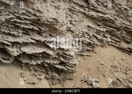 Grainstone, ou rochers et pierres de kurkar, typique des rives méditerranéennes. Banque D'Images