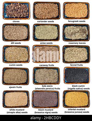 ensemble de différentes graines épicées dans des bols avec les noms découpés sur le dos blanc Banque D'Images