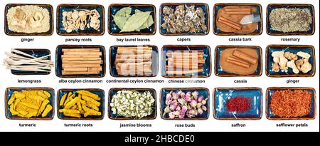 ensemble de différents arômes séchés dans des bols avec des noms découpés sur le backgrognd blanc Banque D'Images