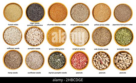 ensemble de différents grains, graines et noix dans des bols avec noms découpés sur fond blanc Banque D'Images