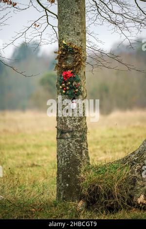 Une décoration de couronne de noël accrochée sur un tronc d'arbre de bois, Wiltshire Royaume-Uni Banque D'Images