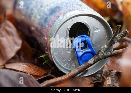 Les canettes de boisson sont l'une des choses qui sont jetées le plus souvent dans la nature. Banque D'Images