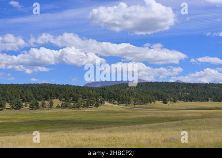 Paysages pittoresques autour du monument national Florissant Fossil Beds, Florissant CO Banque D'Images