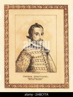 Portrait de Joris Hoefnagel (1542-1601), peintre flamand, graveur, miniaturiste, dessinateur et marchand.Peintre de sujets d'histoire naturelle, de vues topographiques, d'illuminations et d'œuvres mythologiques.George Hoefnagel, peintre d'animaux, de plantes, d'insectes.Gravure teintée dans une bordure décorative par John Girtin après un portrait de Jan Sadeler de soixante-dix-cinq Portraits de John Girtin de célèbres peintres d’originaux authentiques, J. m’Creery, Londres, 1817. Banque D'Images