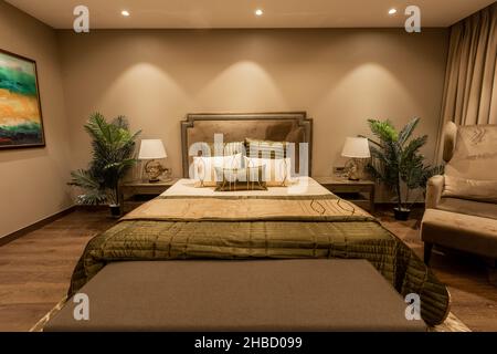 Intérieur de la chambre avec meubles de chambre, literie blanche et couverture colorée, plantes près du lit double, belles lampes latérales et peinture Banque D'Images