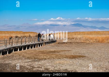 Personnes marchant sur un pont en bois à côté de roseaux secs et Erciyes Mountain fond dans Sultan Sazligi, Kayseri, Turquie. Banque D'Images