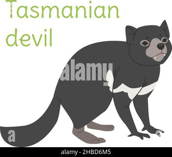 le diable tasmanie est debout.Oiseau australien dans un style simple.Illustration vectorielle plate isolée sur fond blanc. Illustration de Vecteur