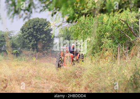 Pali Rajasthan, Inde - 3 novembre 2021.Un agriculteur indien labourage le champ avec l'aide d'un tracteur et d'une charrue massey Banque D'Images