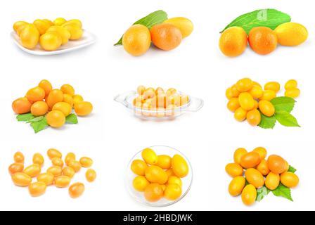 Collage de cumquats gros plan sur blanc Banque D'Images