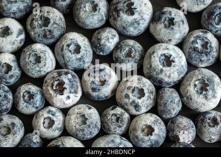 bleuets mûrs congelés gros plan Banque D'Images