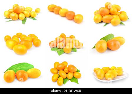 Collage de cumquats en gros plan isolé sur fond blanc Banque D'Images