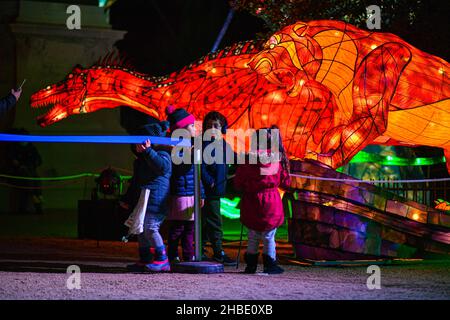 «Illuminzed Evolution» est une exposition organisée au jardin des plantes par le Musée d'Histoire naturelle jusqu'au 30 janvier 2022.Paris, France, le 18 décembre 2021.Photo de Lionel Unman/ABACAPRESS.COM Banque D'Images