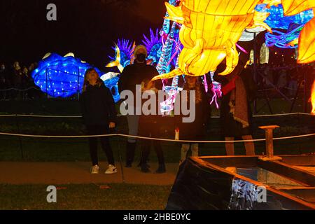 «Illuminzed Evolution» est une exposition organisée au jardin des plantes par le Musée d'Histoire naturelle jusqu'au 30 janvier 2022.Paris, France, le 18 décembre 2021.Photo de Lionel Unman/ABACAPRESS.COM Banque D'Images