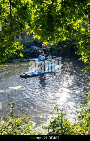 Paddle-board sur Union Canal à Édimbourg Banque D'Images