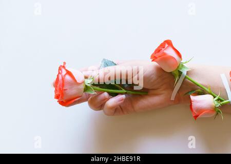 De belles roses roses sont attachées au bras avec plâtre moulé.Fraîcheur naturelle et main de femme sur fond clair.Cosmétiques pour les mains avec un plâtre adhésif fleur de rose délicate.Concept thérapie naturelle Banque D'Images