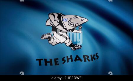 Animation du drapeau avec symbole des requins de rugby. Banque D'Images