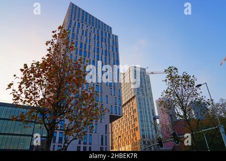 ROTTERDAM, PAYS-BAS -12 NOVEMBRE 2021- vue de l'Université Erasmus à Rotterdam, pays-Bas. Banque D'Images