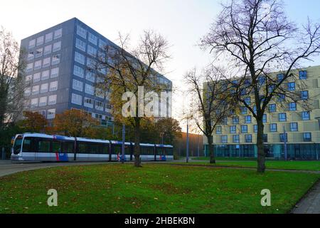 ROTTERDAM, PAYS-BAS -12 NOVEMBRE 2021- vue de l'Université Erasmus à Rotterdam, pays-Bas. Banque D'Images