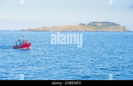 Bateau de pêche entrant à Bermeo avec l'île d'Izaro en arrière-plan, Euskadi Banque D'Images