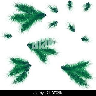 Collection de branches de sapin réalistes pour sapin de Noël, pin.Vecteur Illustration de Vecteur