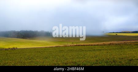 Le soleil du matin brille sur les champs dorés avec un brouillard de nuages qui se balade sur les bois et les prairies, Wiltshire, Royaume-Uni Banque D'Images