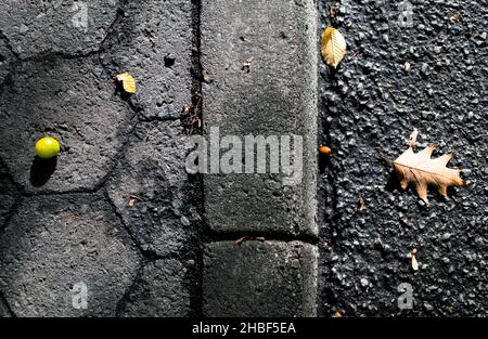 Noix et feuille sur le trottoir Banque D'Images