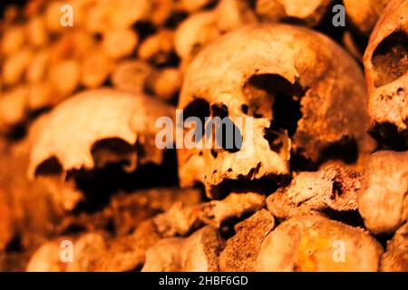 OS et crânes dans les catacombes de Paris Banque D'Images