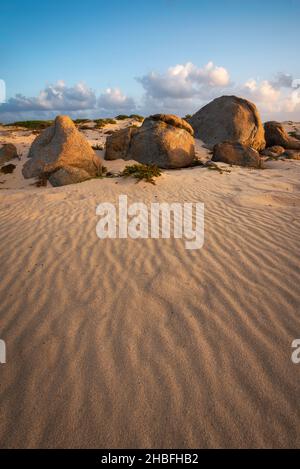 Des lignes de sable soufflées par le vent dans la lumière dorée du matin des dunes d'Arashi à Aruba. Banque D'Images