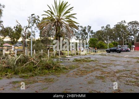 La tempête estivale de freak a fait tomber le carnage et la mort à Narrabeen sur les plages du nord de Sydney, la Nouvelle-Galles du Sud, les arbres et les lignes électriques en Australie Banque D'Images