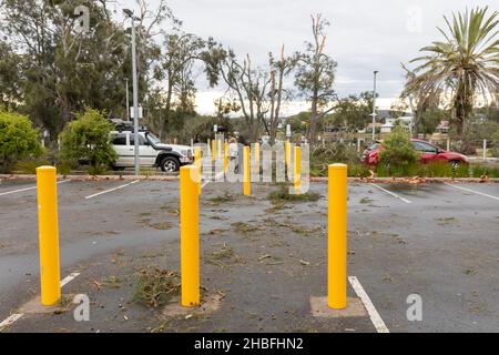 La tempête estivale de freak a fait tomber le carnage et la mort à Narrabeen sur les plages du nord de Sydney, la Nouvelle-Galles du Sud, les arbres et les lignes électriques en Australie Banque D'Images