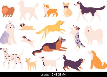 Dessin animé chiens de race drôle en poses, dalmatien, corgi et bulldog.S'asseoir, se tenir debout et sauter un animal de compagnie.Labrador, samoyed et ensemble de vecteurs de caniche Illustration de Vecteur