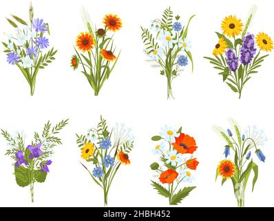 Bouquets fleuris avec fleurs et herbes sauvages dans le jardin et les prairies.Magnifique jardin d'été fleurs sauvages, Marguerite, tournesol et coquelicot ensemble vectoriel Illustration de Vecteur