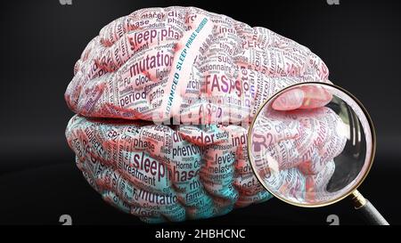 Troubles de la phase de sommeil avancés dans le cerveau humain, des centaines de termes liés au trouble de la phase de sommeil avancé projetés sur un cortex pour montrer une large mesure Banque D'Images