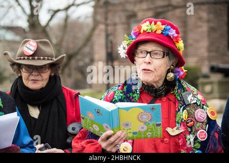 Toronto, Canada - 29 novembre 2015 : Raging Grannies of Toronto : climat mondial Mars .Les centaines de mars exigent que le gouvernement agisse réellement sur le sort Banque D'Images