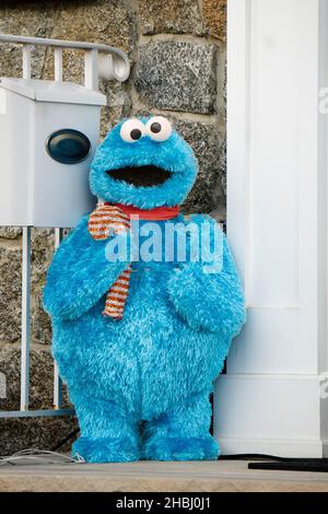 Une décoration de Noël de cookie Monster sur un porche dans le nord-est de Queens, New York. Banque D'Images