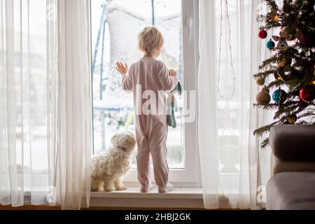 Adorable petit garçon en pyjama, debout devant de grandes fenêtres avec son chien, en profitant de la neige à l'extérieur Banque D'Images